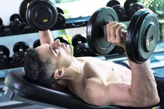 Factors Affecting Muscular Strength